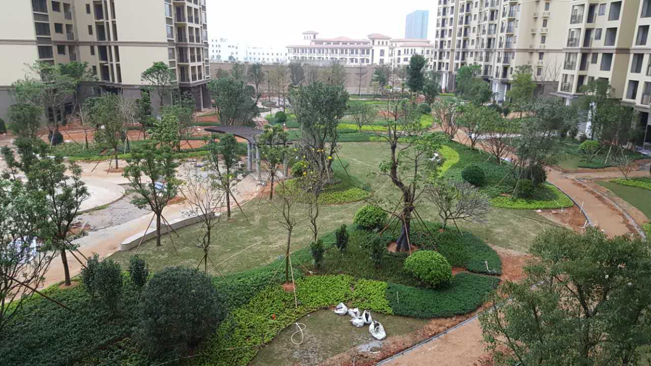 綠化小區(qū)中央 綠化小區(qū)中央